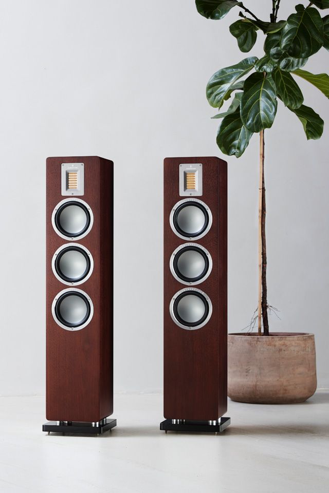 Напольная акустика AudioVector QR 5 Dark Walnut Veneer (пара)