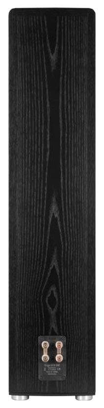 Напольная акустика CANTON Ergo 670, black