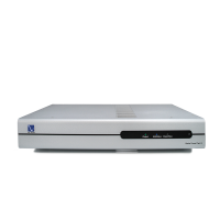 Регенератор тока PS Audio Stellar Power Plant 3 silver