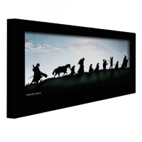 Многоформатный экран Display Technologies Dynamic-2TB-AM с моторизованной картиной (270 см)