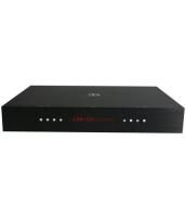 Cтереоусилитель Densen B-150 PLUS black/gold