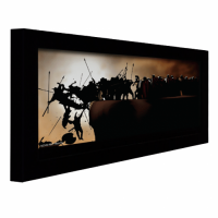 Многоформатный экран Display Technologies Dynamic-2TB-AM-XL с моторизованной картиной (630 см)