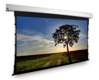Моторизованный экран Dragonfly DFM-TAB-100-MW