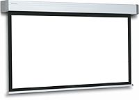 Проекционный экран Projecta Elpro electrol wide 173x300