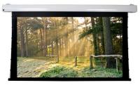 Моторизованный экран Dragonfly DFM-TAB-110-HC