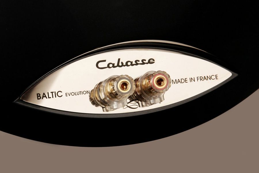 Напольная акустика Cabasse BALTIC 4 stand WENGE/BLACK PEARL