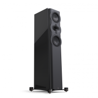 Напольная акустика Perlisten Audio R5t Black High Gloss