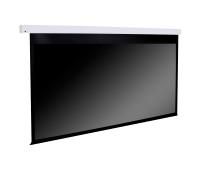 Моторизованный экран Dragonfly DFM-NTT-120-ALR