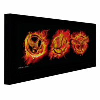 Многоформатный экран Display Technologies Dynamic-4-AM с моторизованной картиной (300 см)
