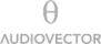 Audiovector